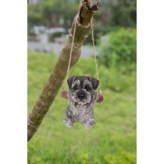 Hanging Schnauzer Puppy Dog - Life Like Figurine Statue Home Garden