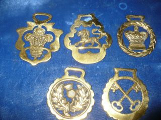 ​lot Of 5 Antique & Vintage Brass Horse Harness Bridle Medallions Estate Items