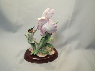 A " Hummingbird With A Flower " 1985 Vintage Homco Figurine On A Stand.