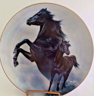 Horse Plate Fred Stone American Artists " Black Stallion " Vintage 1989