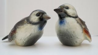 Vintage W Germany Porcelain Glass Brown Song Birds V Cv73 Pair 2 Birds