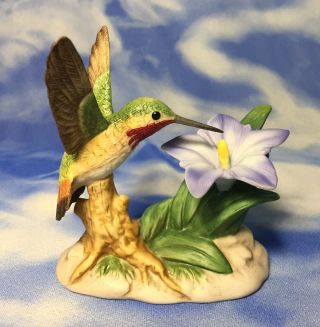 Htf Bc Bronson " Calliope Hummingbird With Gentian " Porcelain Figurine Flower Euc