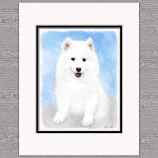 Samoyed Puppy Dog Art Print 8x10 Matted To 11x14