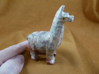 Y - Lla - St - 400) Gray White Llama Carving Stone Soapstone Figurine Peru Love Llamas