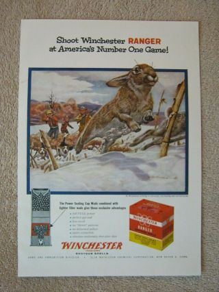 Vintage 1954 Winchester Ranger Shotgun Shells Rabbit Hunter Hunting Art Print Ad