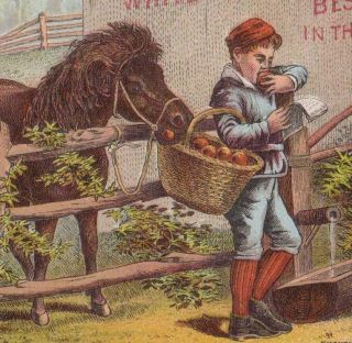 Pony Steals Apple White Sewing Machine Trade Card Mahan Music Festival Cortland
