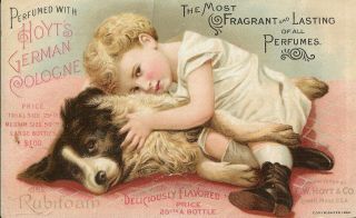 Vintage Victorian Trading Card Girl With Puppy Dog Hoyt 