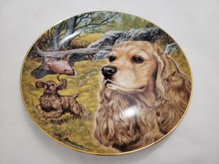 Reco Cocker Spaniel " Faithful Companions " Town & Country Dog Series Plate