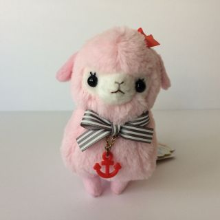 Amuse Charmy Kids Alpacasso Pink Girl (12cm) Sailor Alpaca Arpakasso Plush Japan