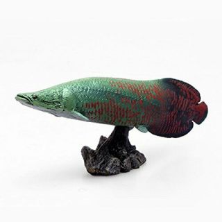 Favorite Piraruku Soft Model Fish Figure Ff - 002