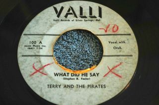 Rockabilly 45 Rpm Record By - Terry And The Pirates - What Did He Say