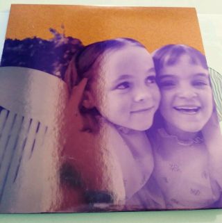 Smashing Pumpkins - Siamese Dream - Double Vinyl Album
