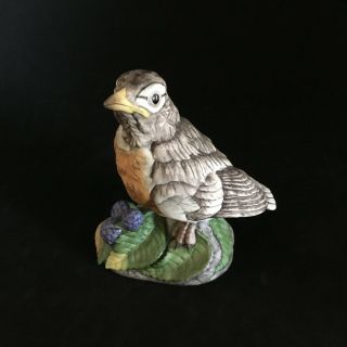 Boehm Fledgling Robin Porcelain Bird Figurine 400 - 74 Made In The Usa
