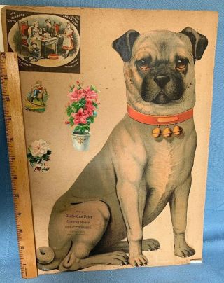 Antique Victorian Die - Cut Pug Dog Large Trade Advertising 14” Scrapbook Page