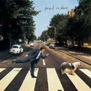 Paul Mccartney - Paul Is Live - 2 X Vinyl Lp 180gm Audiophile