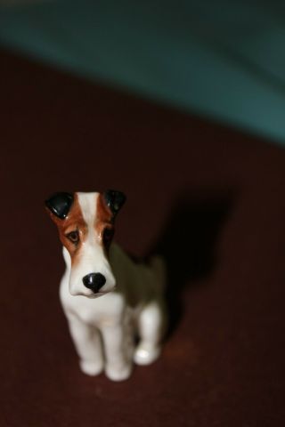 Royal Doulton Fox Terrier Figurine - K8