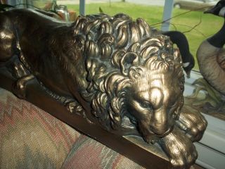 13 Inch Vintage Plaster Gold Lion Eating Chewing Figure Guard Signed Chrisdon