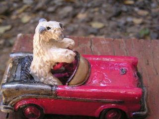 Soft Coated Wheaten Terrier In A Car