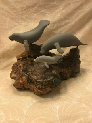 John Perry 3 Gray Swimming Manatee Sculpture On Burl Wood Base (a18)