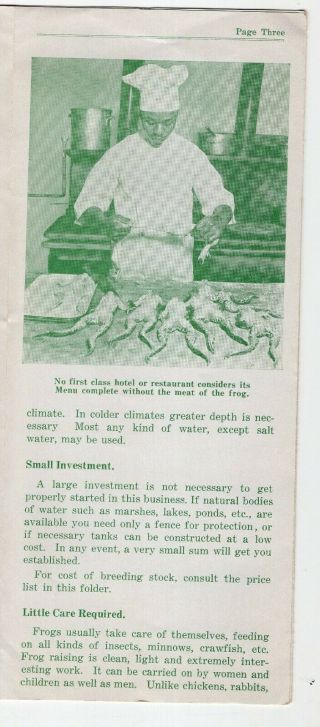 1933 American Frog Industries Louisiana,  Raise Frogs for Food brochure 2