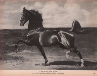 Majestic Peavine Five Gaited Saddlebred Horse George Ford Morris Art 1952