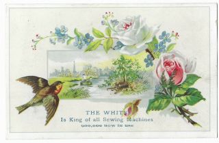Victorian Advertising Card " The White,  Is King Of All Sewing Machines "