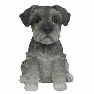 Sitting Mini Schnauzer Puppy Figurine Canine Dog 6.  5 " Tall Hand Painted Resin