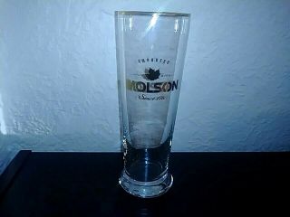 Molson Golden Canadian Beer Maple Leaf Logo Pilsner Glass Gold Trim 7 1/4 " Tall