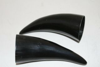 Special 2 Cow Horn Tips V2c89 Polished Cow Horns.