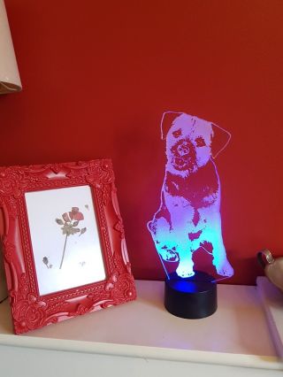 Border Terrier Acrylic Led Lamp Gift