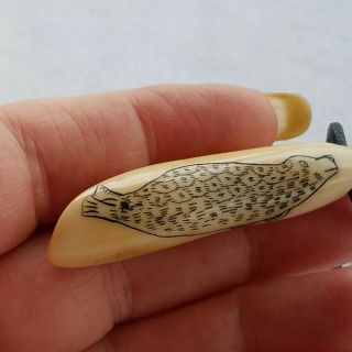 Vintage Alaskan Seal Etched Onto Bone Tooth With Leather Strap