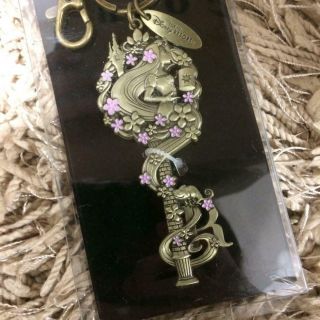 Rapunzel Key Chain Tokyo Disney Resort Limited Japan import F/S 2