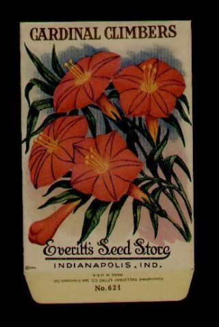 1918 Cardinal Climbers Litho Seed Packet - Everitt 