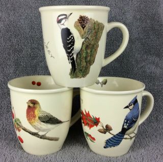Cpocherpos 3 Coffee Mugs Cj Wildlife Blue Jay House Finch Downy Woodpecker