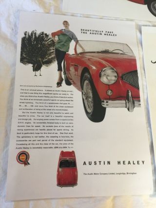 Austin Healey Vintage Posters set of 4 Laminated 12x17 RD0497 2