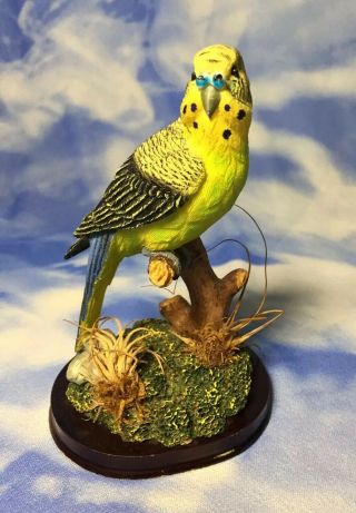 Htf Rainforest Flora Resin Parakeet Bird Figurine W/ Real Plants Wood Base Rguc