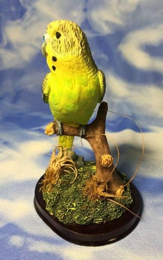 HTF Rainforest Flora Resin Parakeet Bird Figurine w/ Real Plants Wood Base RGUC 2