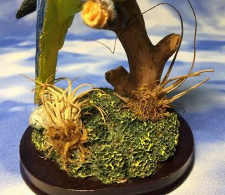 HTF Rainforest Flora Resin Parakeet Bird Figurine w/ Real Plants Wood Base RGUC 7