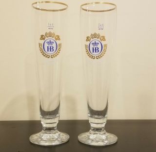 Set Of 2 Hb Hofbrauhaus Munchen German Beer Glass 0.  5l Gold Rim 10 " Tall