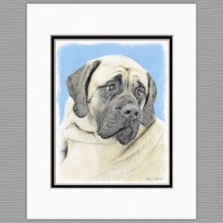 English Mastiff Dog Fawn Art Print 8x10 Matted To 11x14