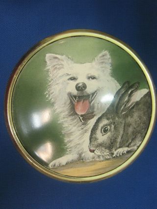Plaque.  Medal.  Dog.  Rabbit.