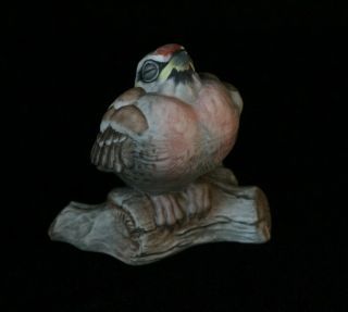 Boehm Fledgling Red Poll Porcelain Bird Figurine Sculpture Mold 495 Iii