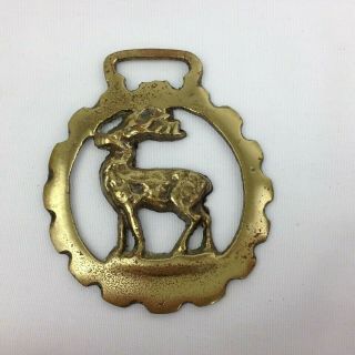 2 Vintage Brass Horse Bridle Saddle Harness Ornament Medallions Dog Deer Stag 3