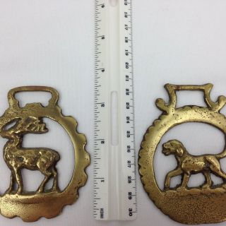 2 Vintage Brass Horse Bridle Saddle Harness Ornament Medallions Dog Deer Stag 5