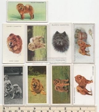 Chow Chow Dog 9 Different Vintage Ad Trade Cards 3 Canine Pet