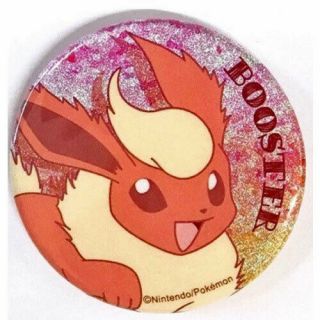 Japanese Pokemon Center Pikachu & Eevee & Friends Flareon Tin Can Badge