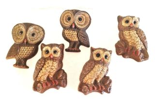 Vintage 5 Piece Owl Bird Wall Decor Set Home Accents