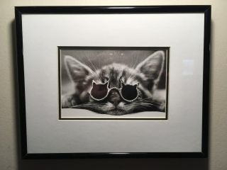 Custom Framed And Matted Photograph Of A Cool Cat Wearing Glasses Very Cute