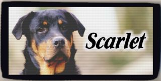 Personalized Custom Rottweiler Dog Checkbook Check Cover Cc Holder Add Name