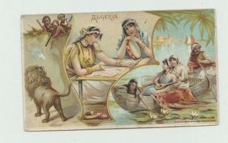 1893 Arbuckle Bros.  Coffee Trade Card Algeria